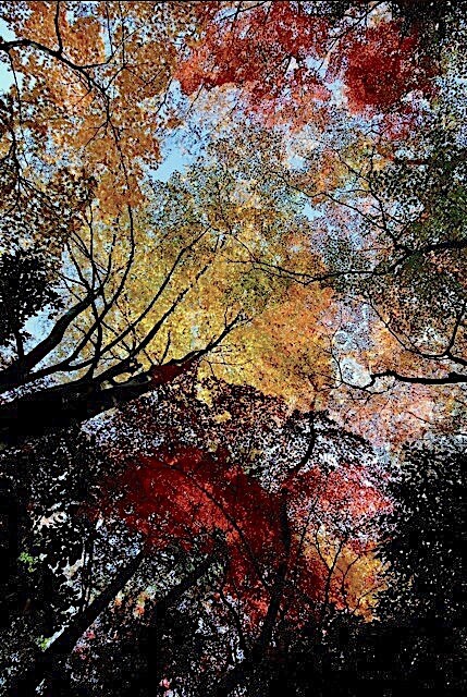 1-f48f4.jpg