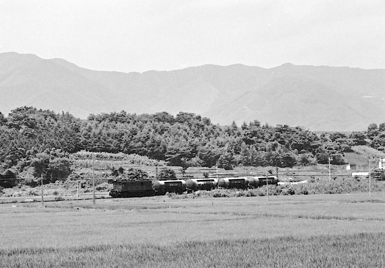 19 2.jpg