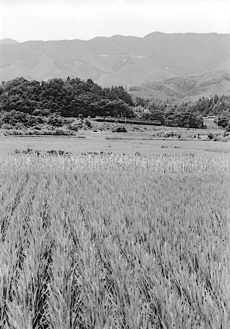 194.jpg