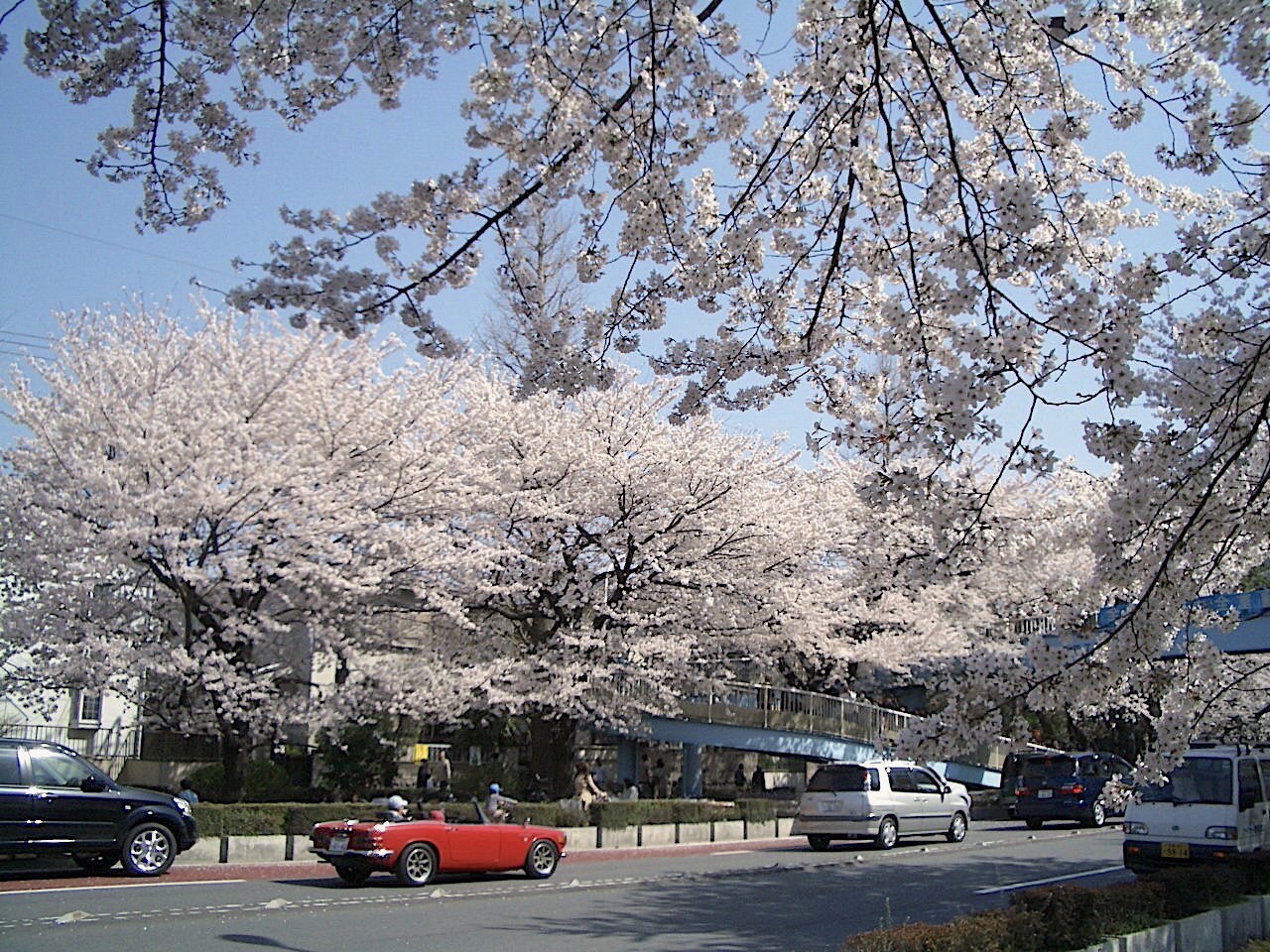 CIMG0154.JPG