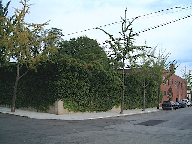 CIMG0664.jpg