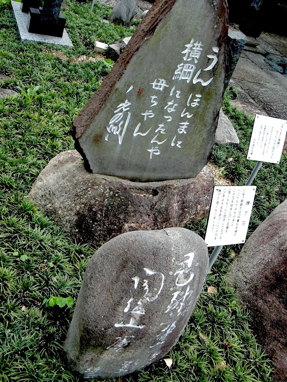 CIMG0772.jpg