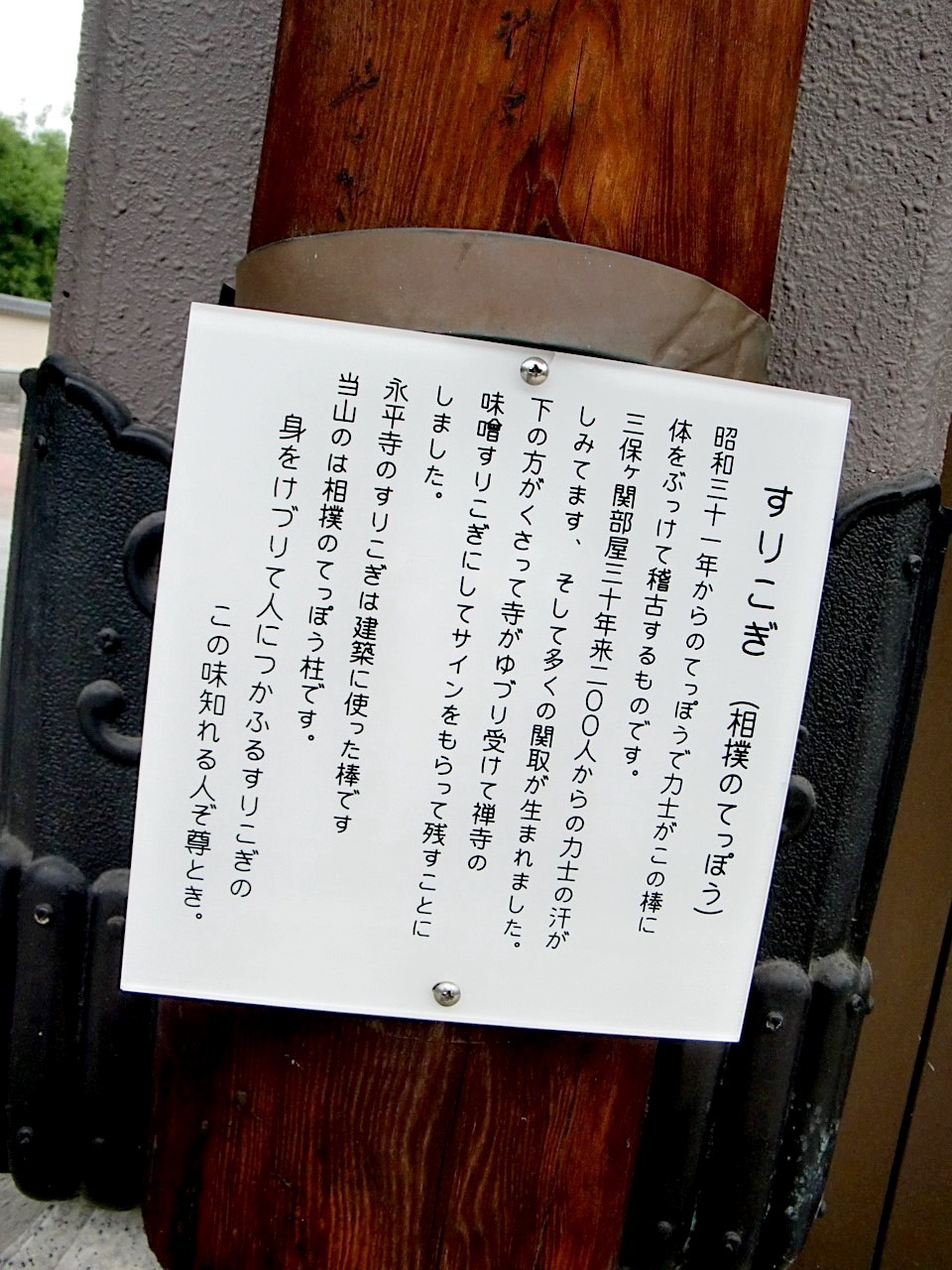 CIMG0777.jpg