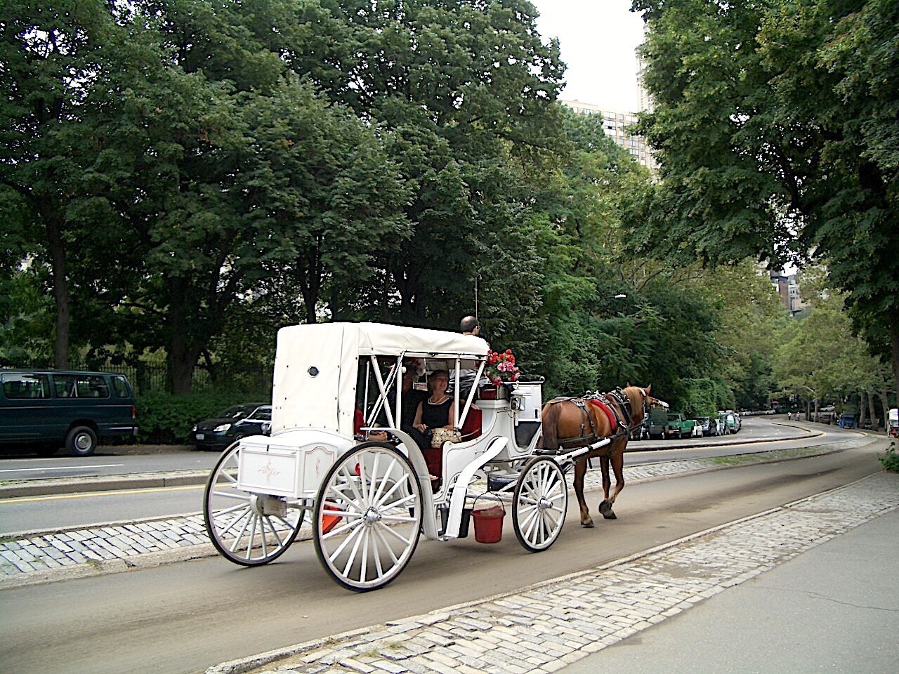 CIMG1219.JPG