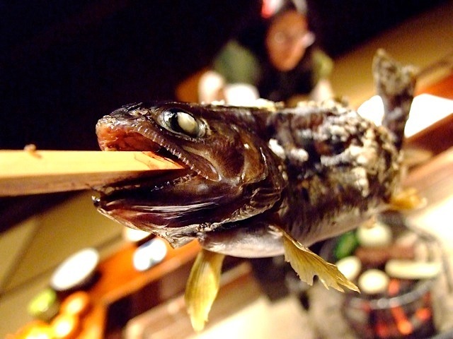 DSCF5529.jpg