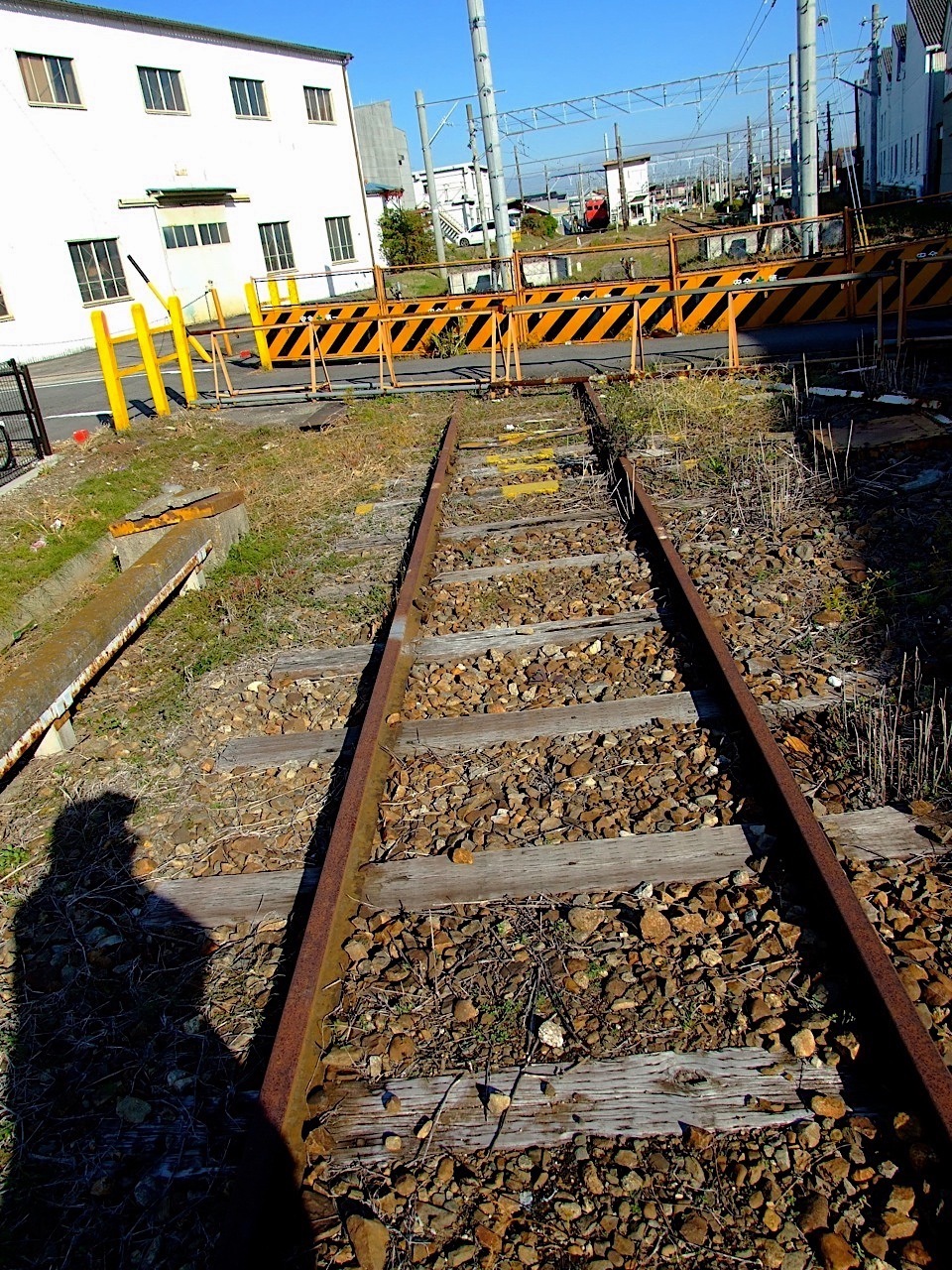 DSCF6240.jpg