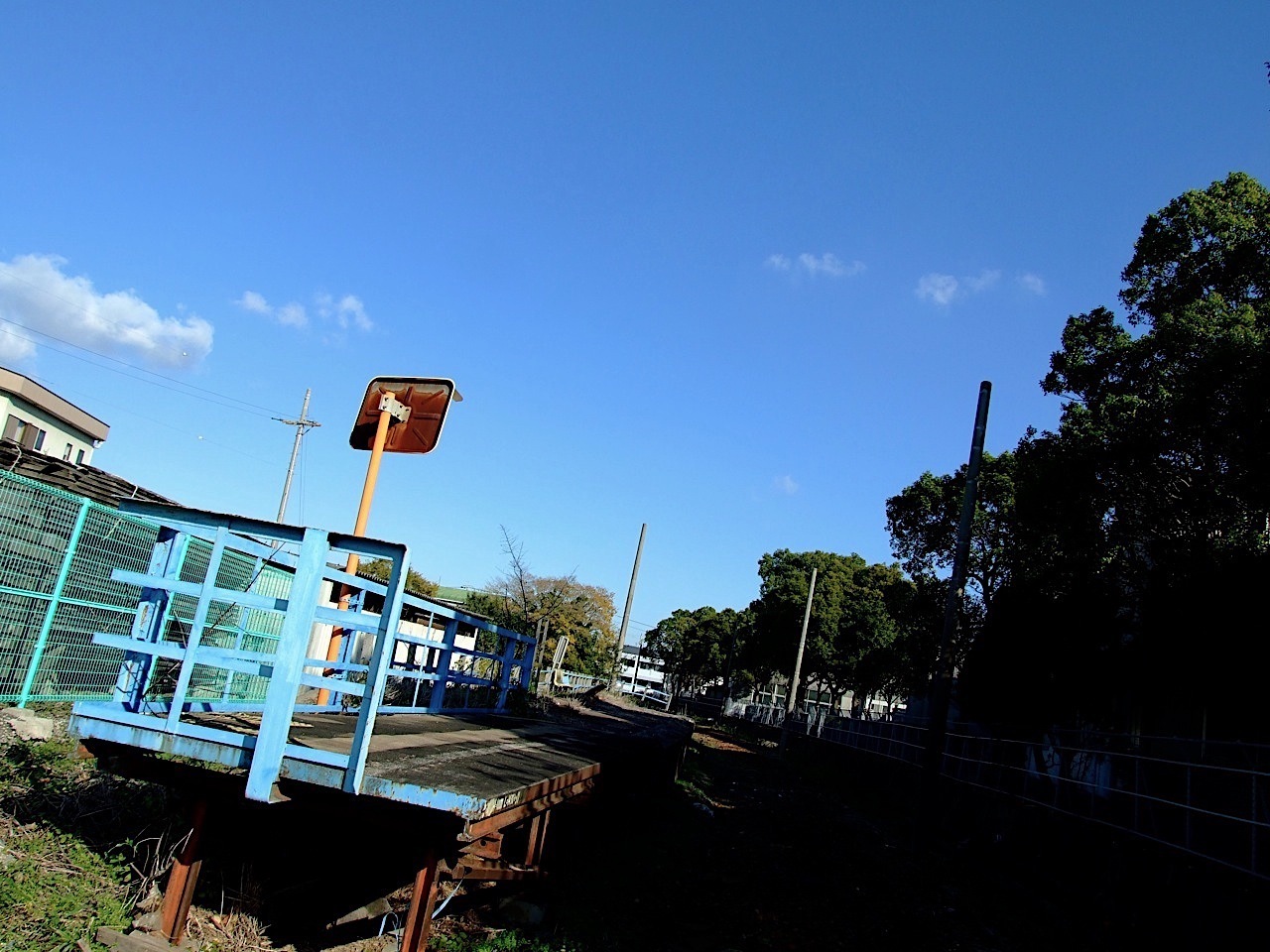 DSCF6253.jpg