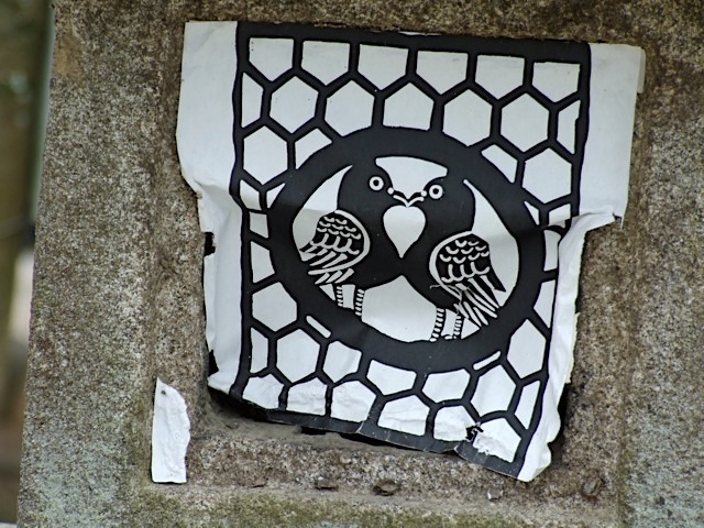 DSCF7356.jpg