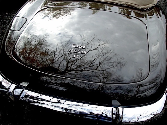 DSCF9368.jpg