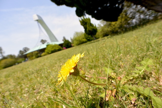 DSC_0629.jpeg