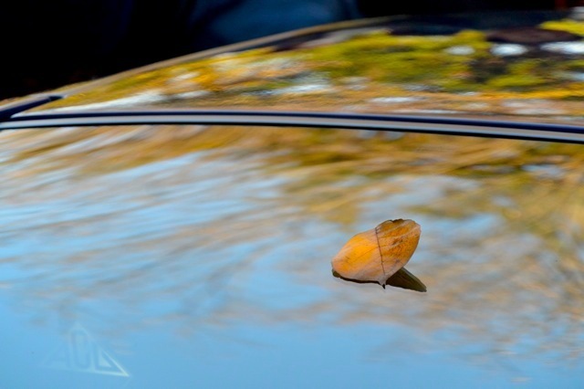 DSC_1451_2.jpg