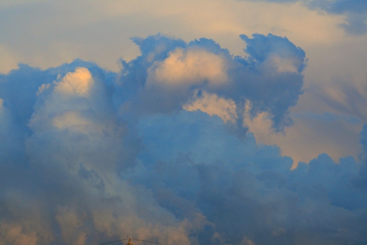 DSC_1595.jpg