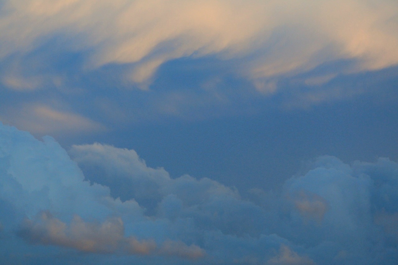 DSC_1597.jpg