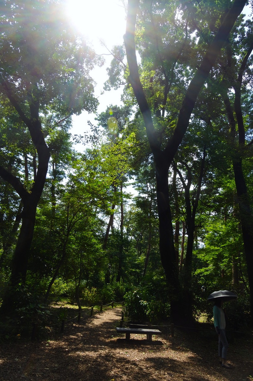DSC_1738.jpeg