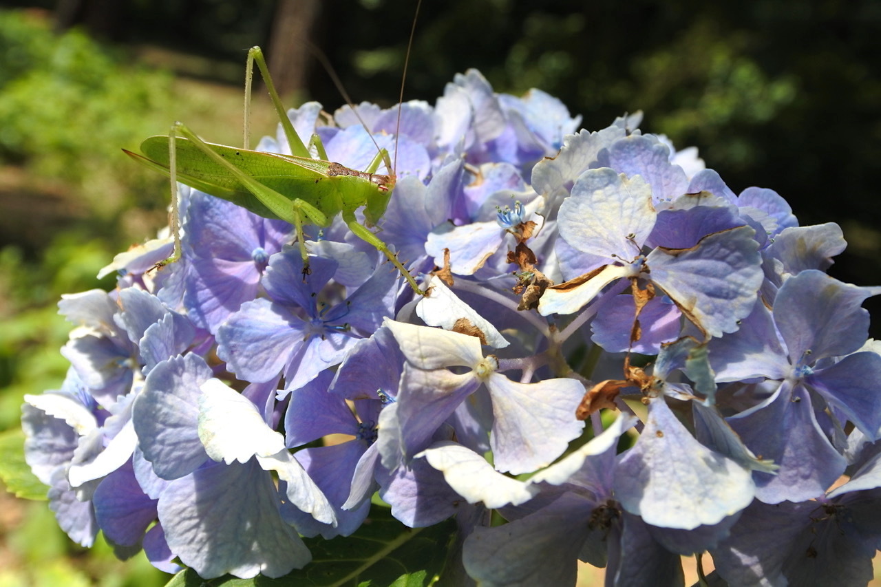 DSC_1741.jpeg