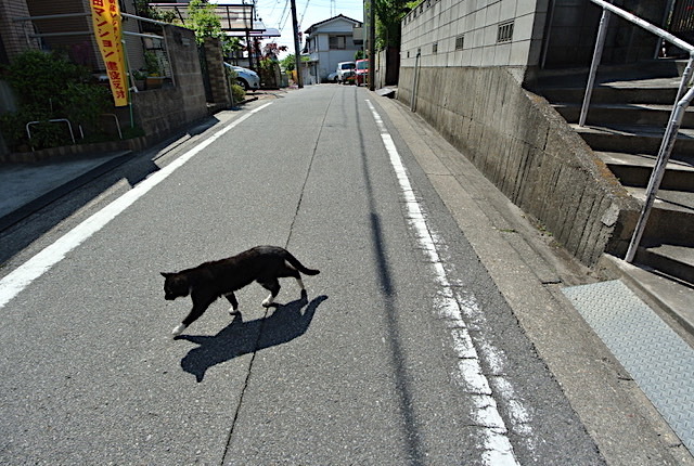 DSC_2005.jpeg