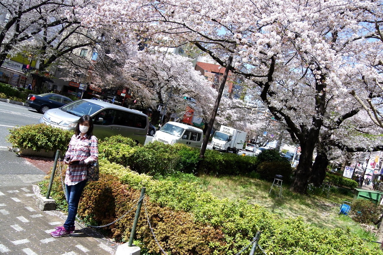 DSC_2204.jpeg