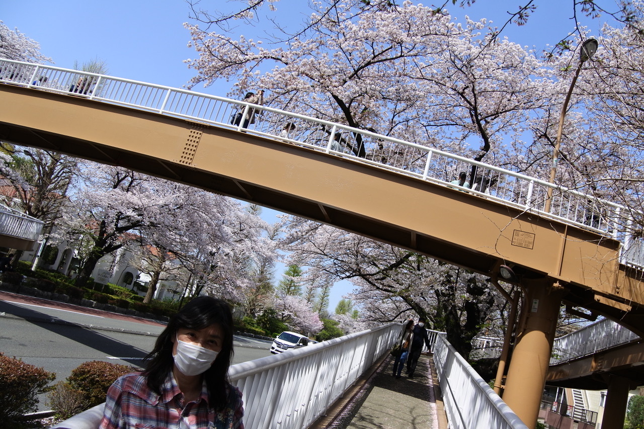DSC_2218.jpeg