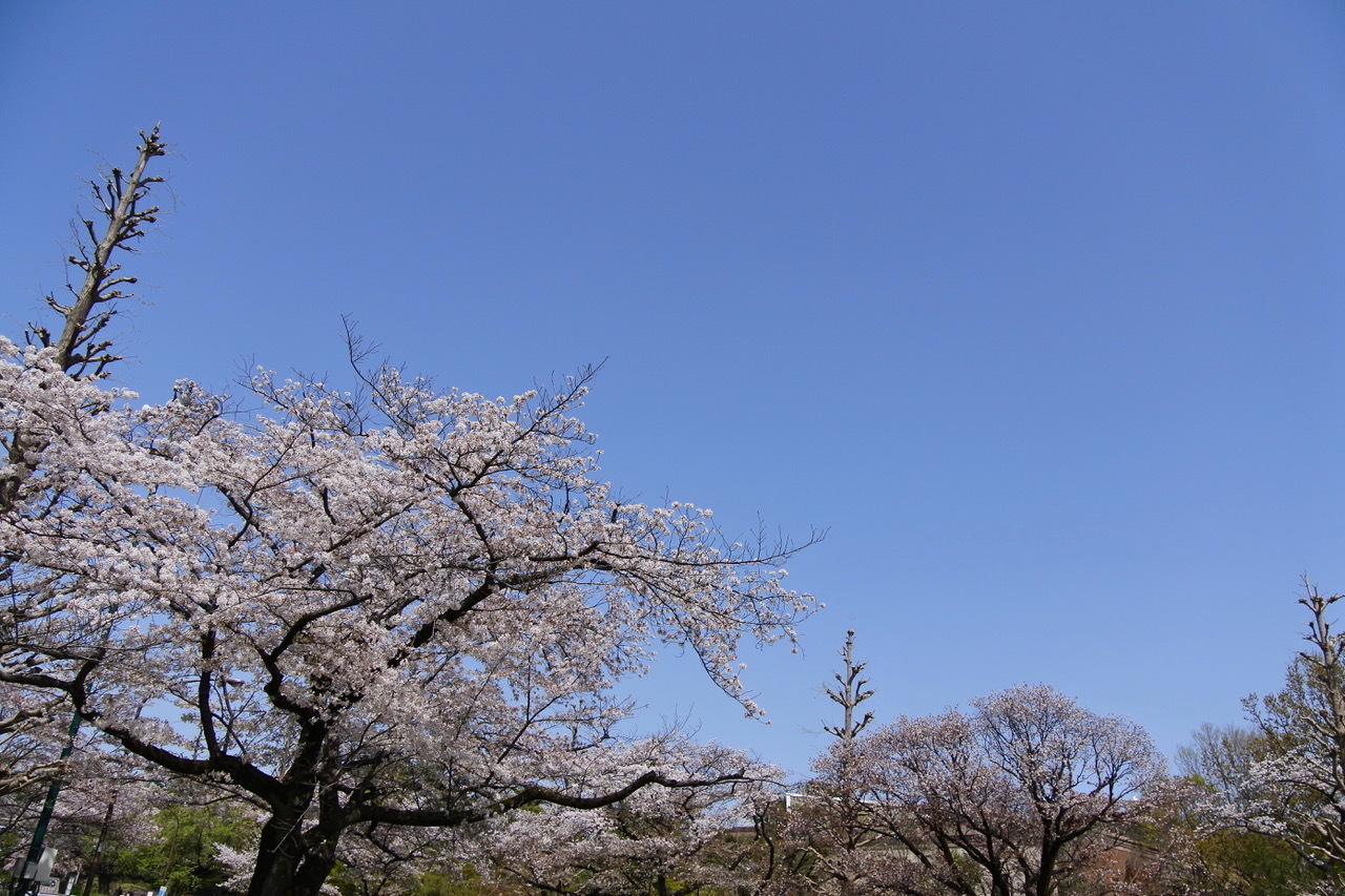 DSC_2235.jpeg