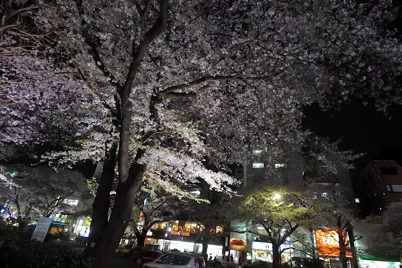 DSC_2242.jpeg