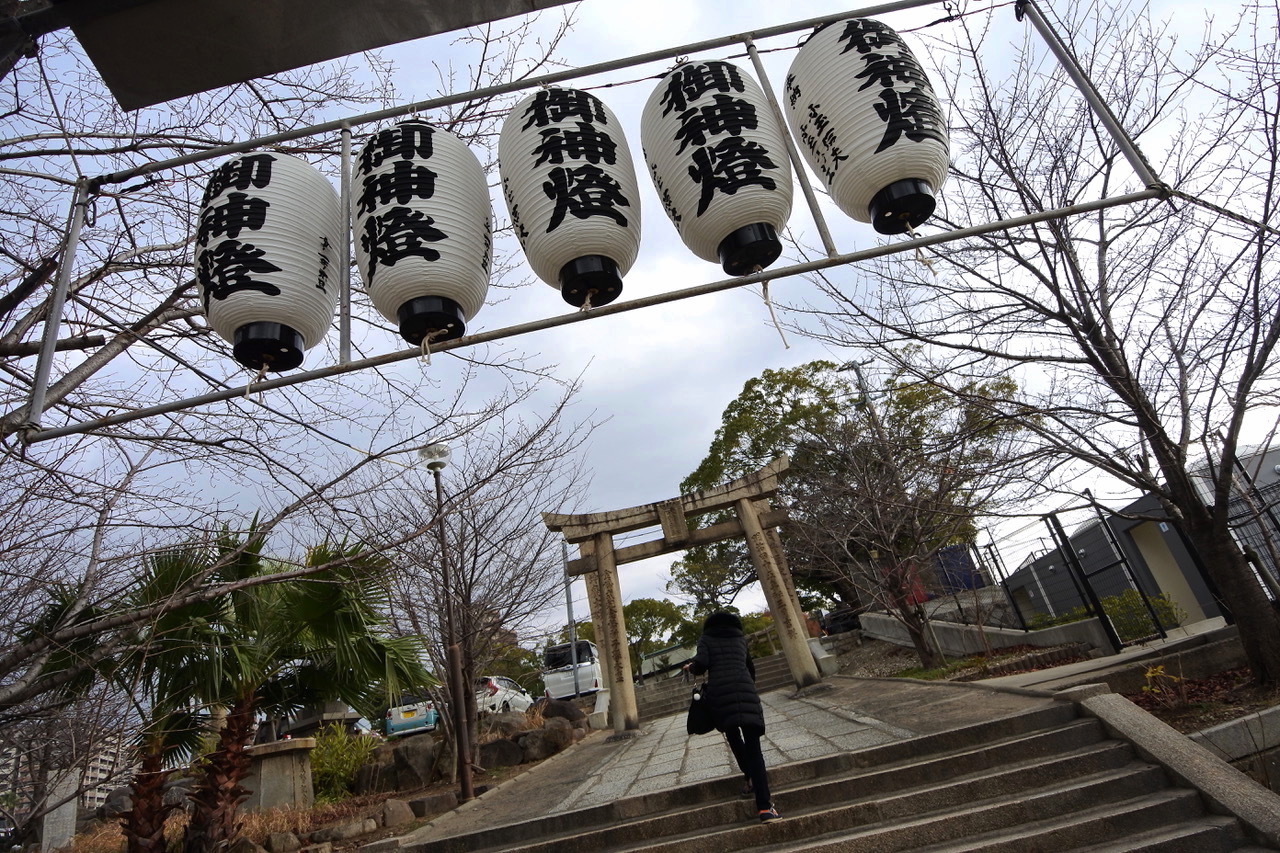 DSC_4733.jpeg