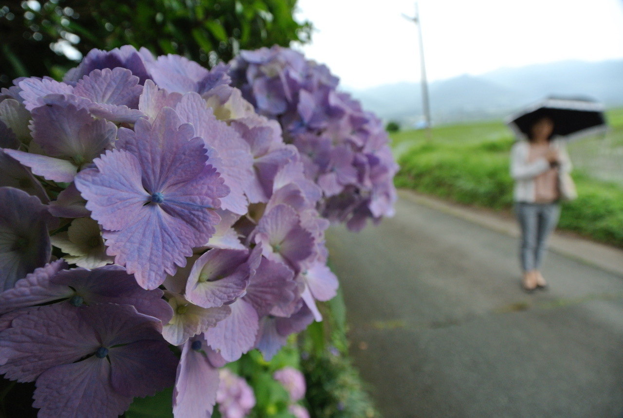 DSC_6049.jpeg