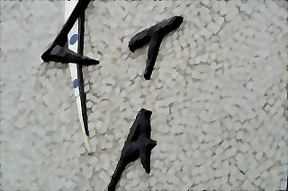 t1.jpg