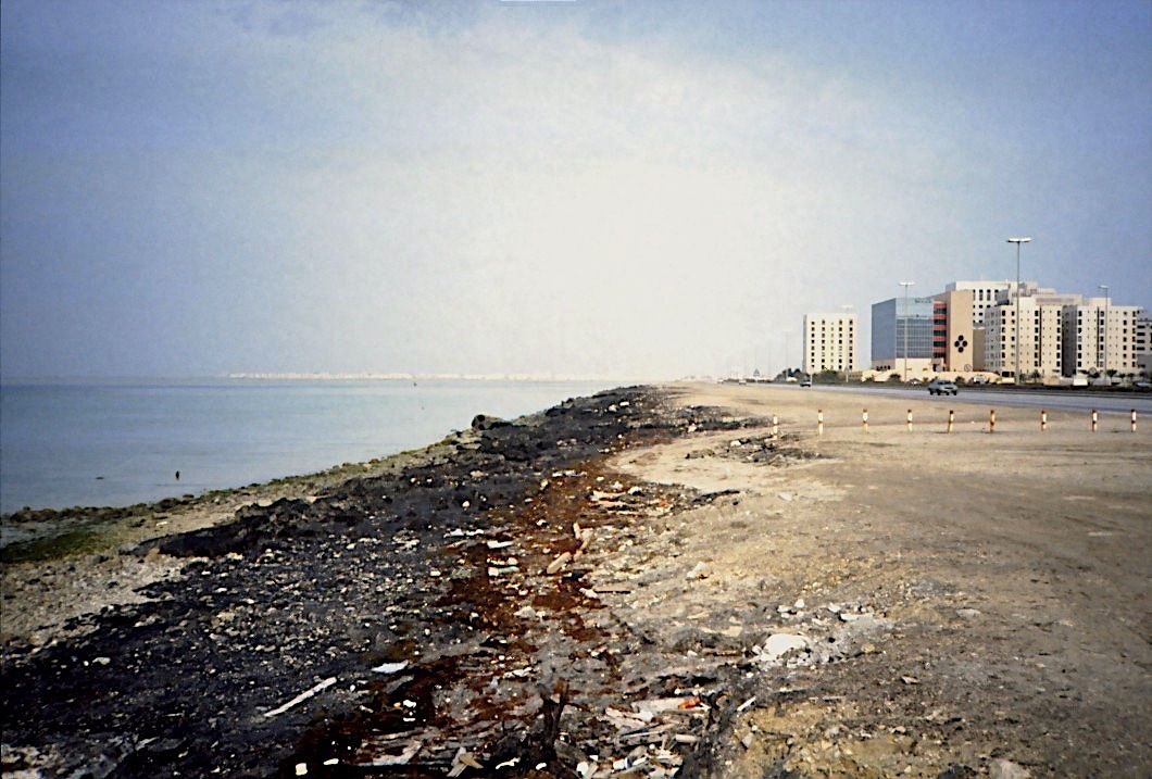 b23.jpg