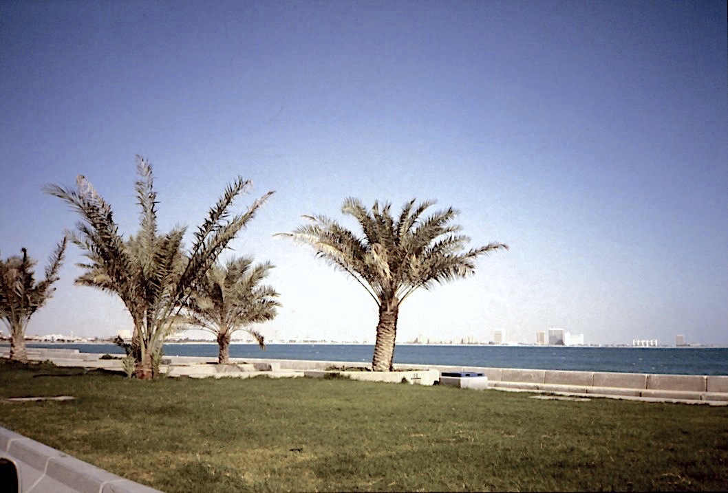 b9.jpg
