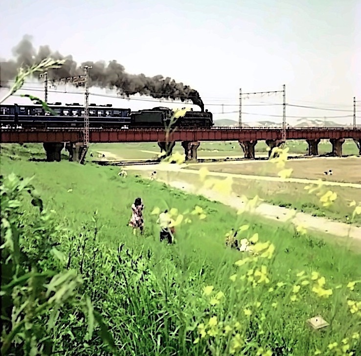c61.jpg