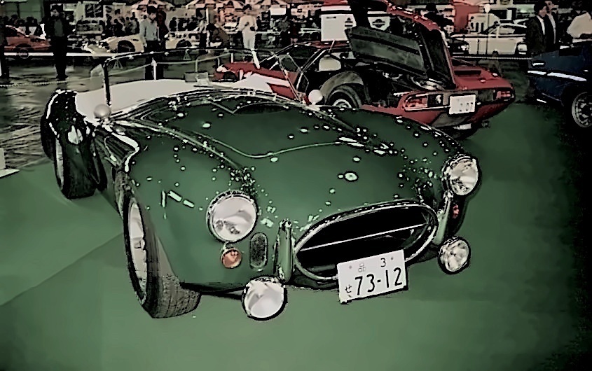 cobra_1.jpeg