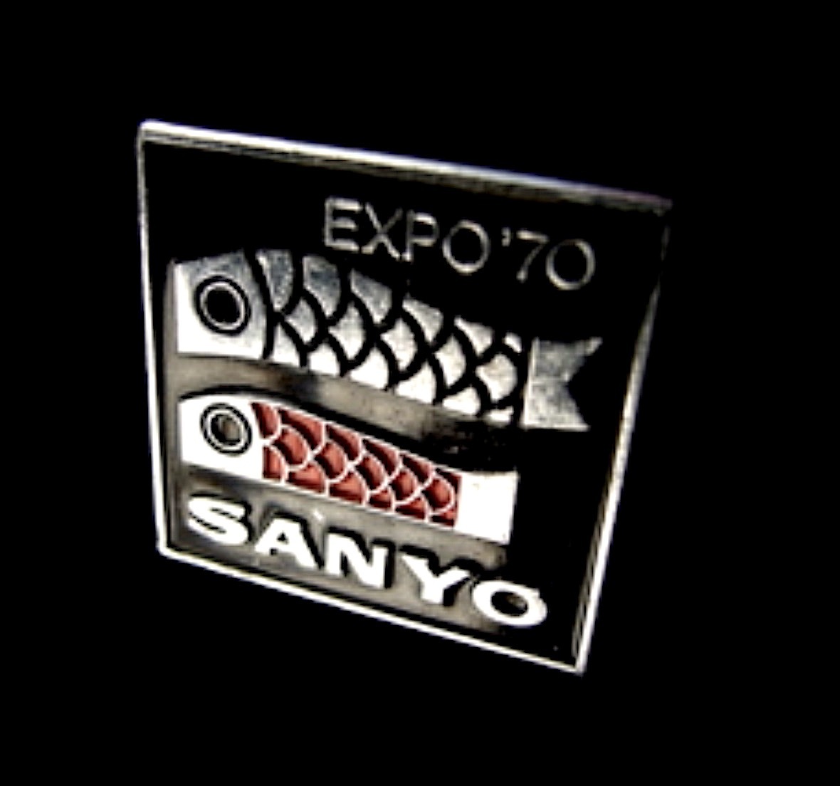 ex5.jpg