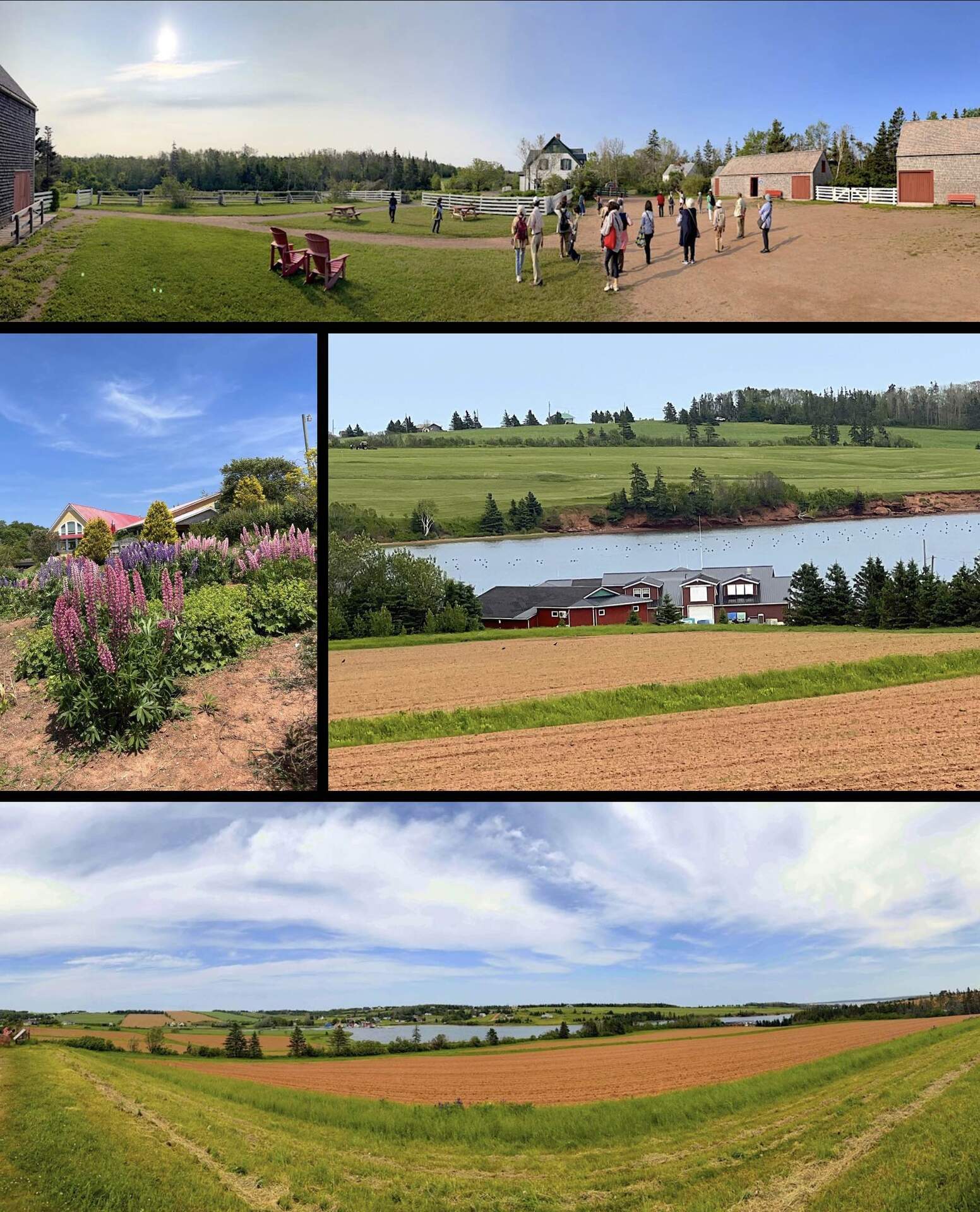 pei.jpg
