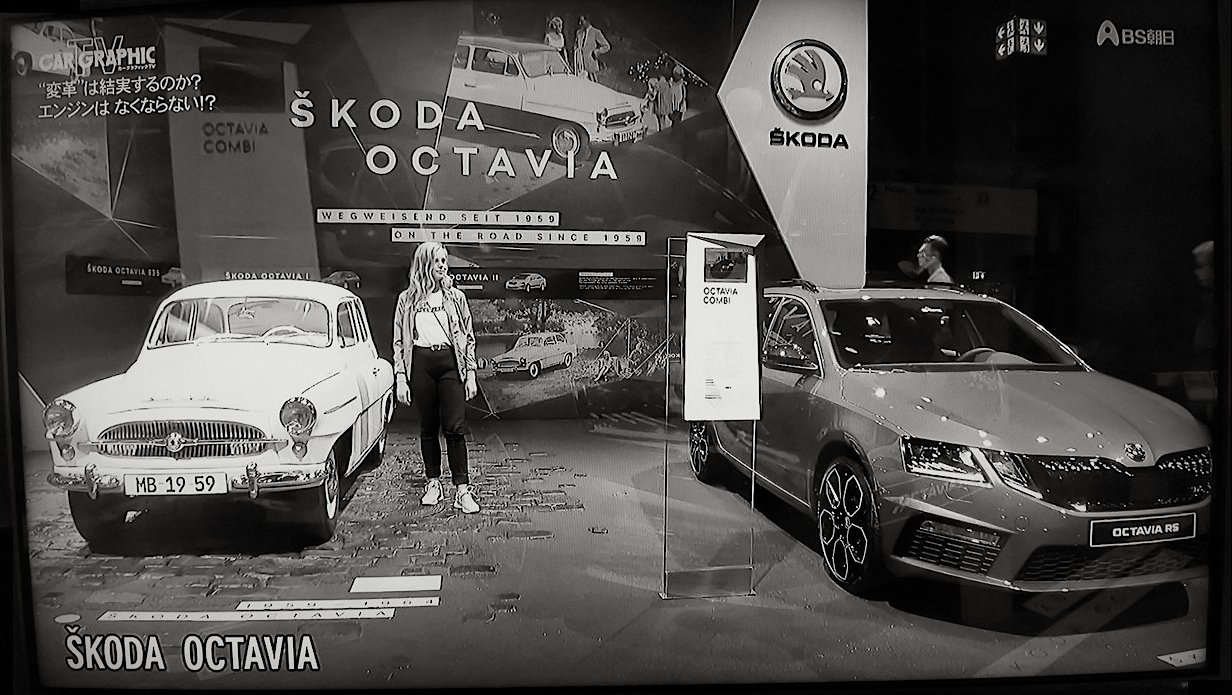 skoda2.jpg