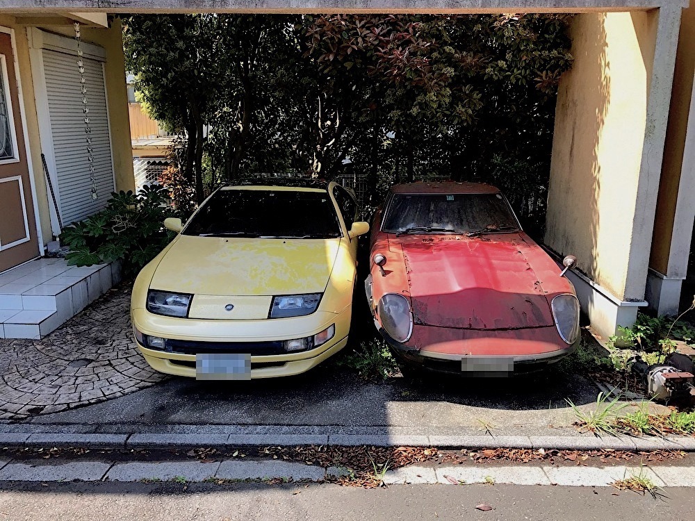 z.jpg