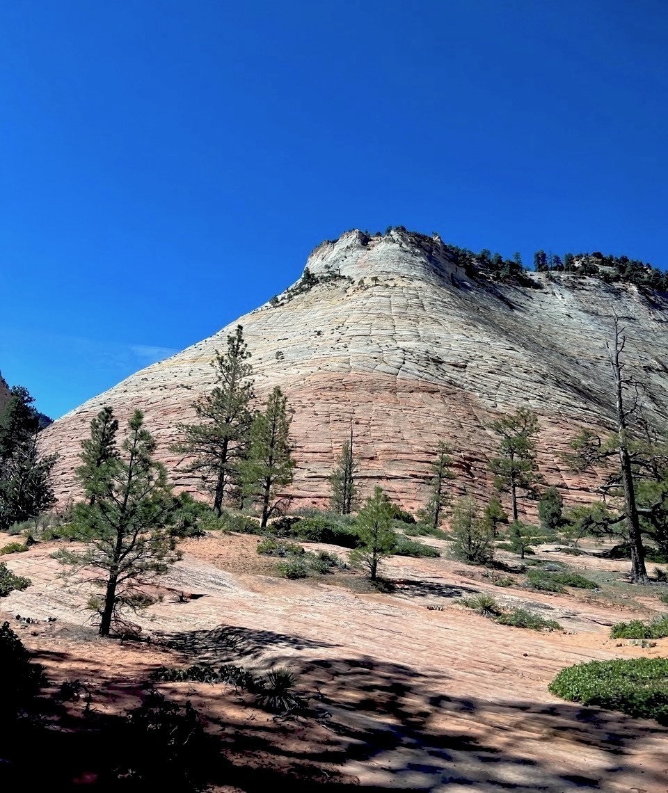 zion2.jpg