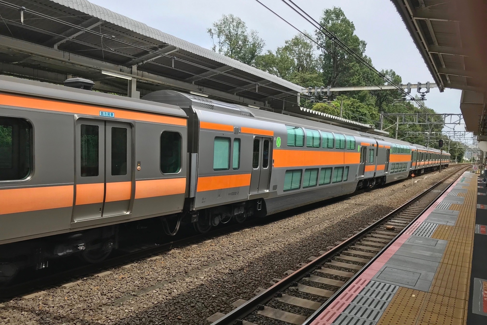 t4.jpg